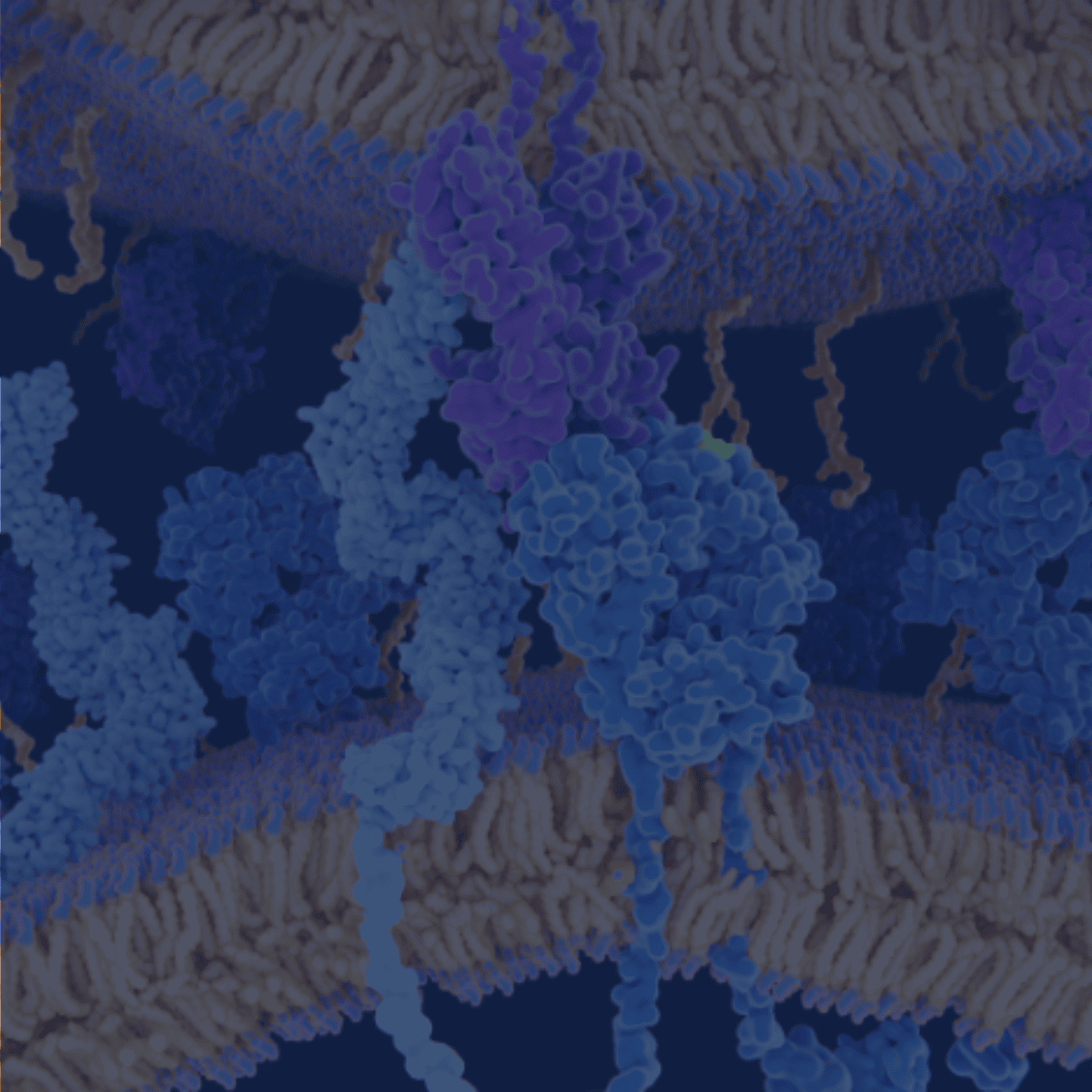 Sample Purification